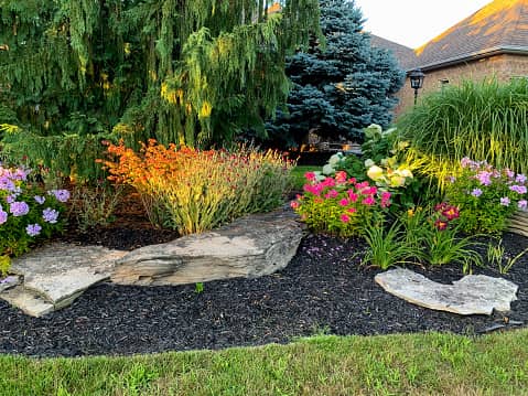 A beautiful mulch bed with flowers and a rock wall